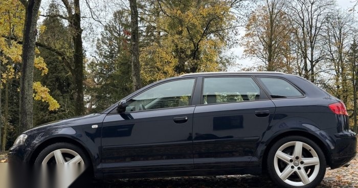Audi A3 2005 m Hečbekas